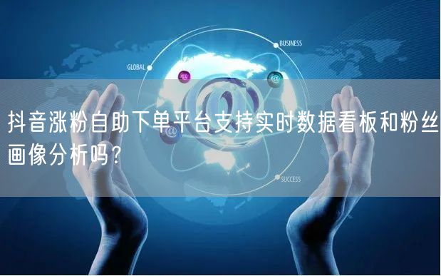 抖音涨粉自助下单平台支持实时数据看板和粉丝画像分析吗？
